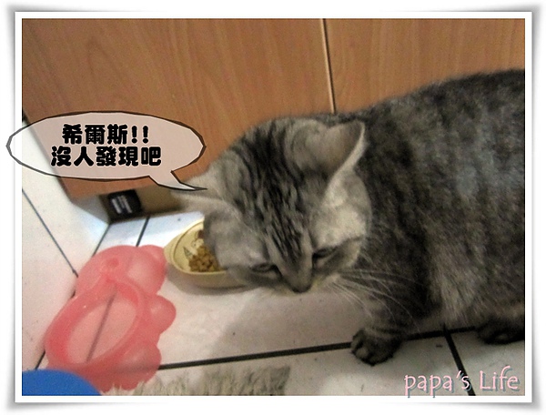 2010.12 