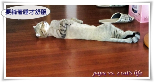 躺著睡~