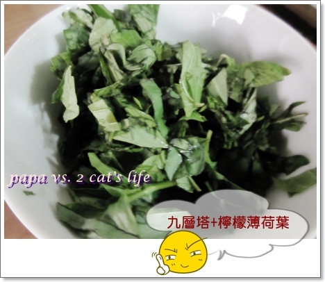 簡單料理..泰式打拋豬