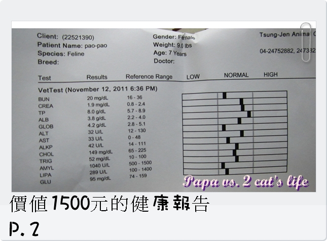 2011.11.12 貓咪健檢