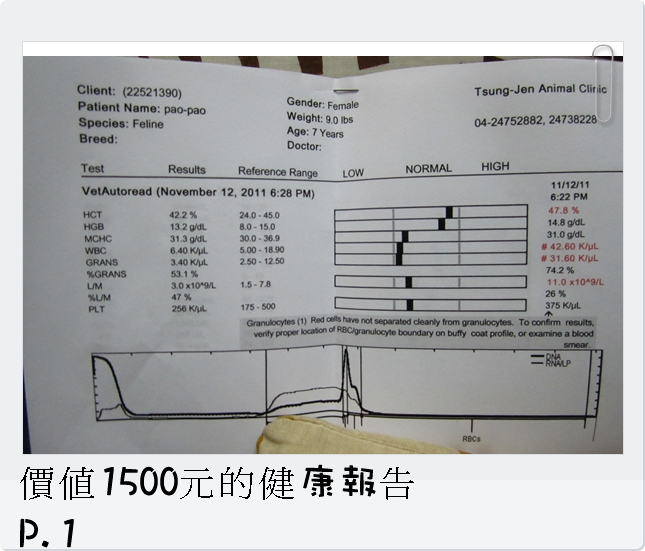2011.11.12 貓咪健檢
