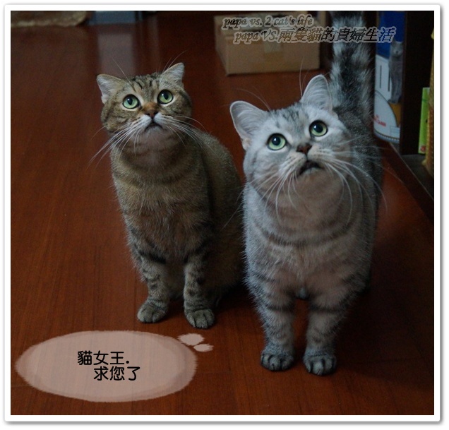 2012.11