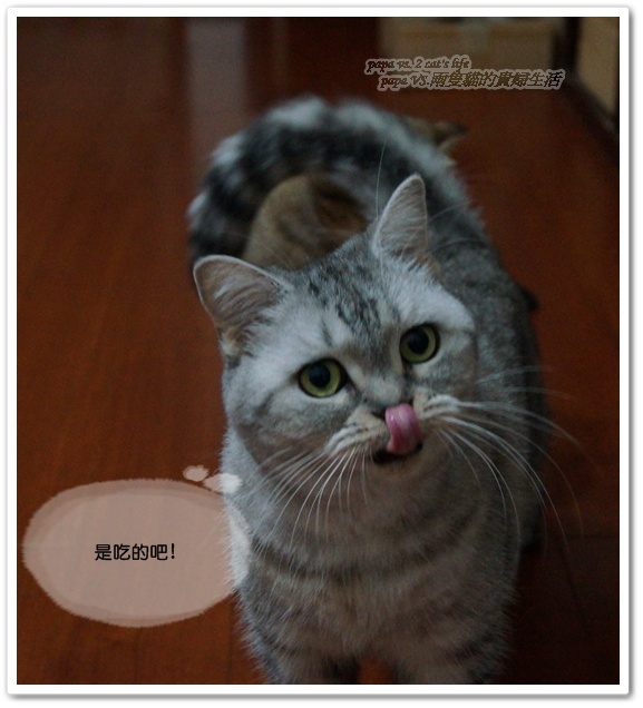 2012.11
