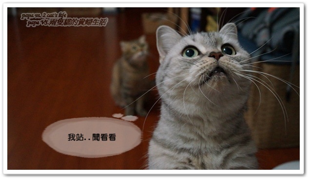 2012.11