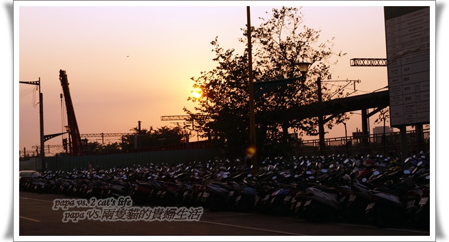 DSC00252