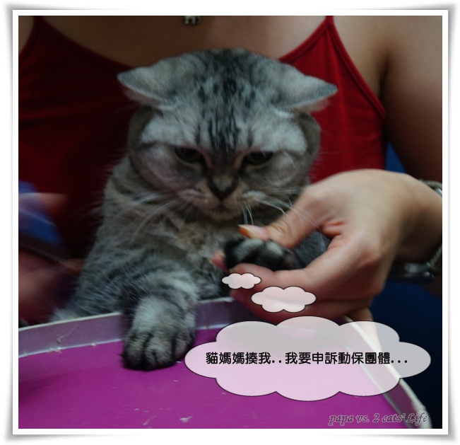 2012.11