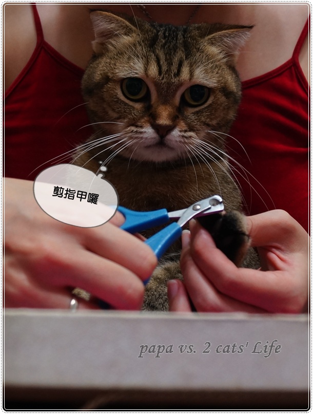 2012.11