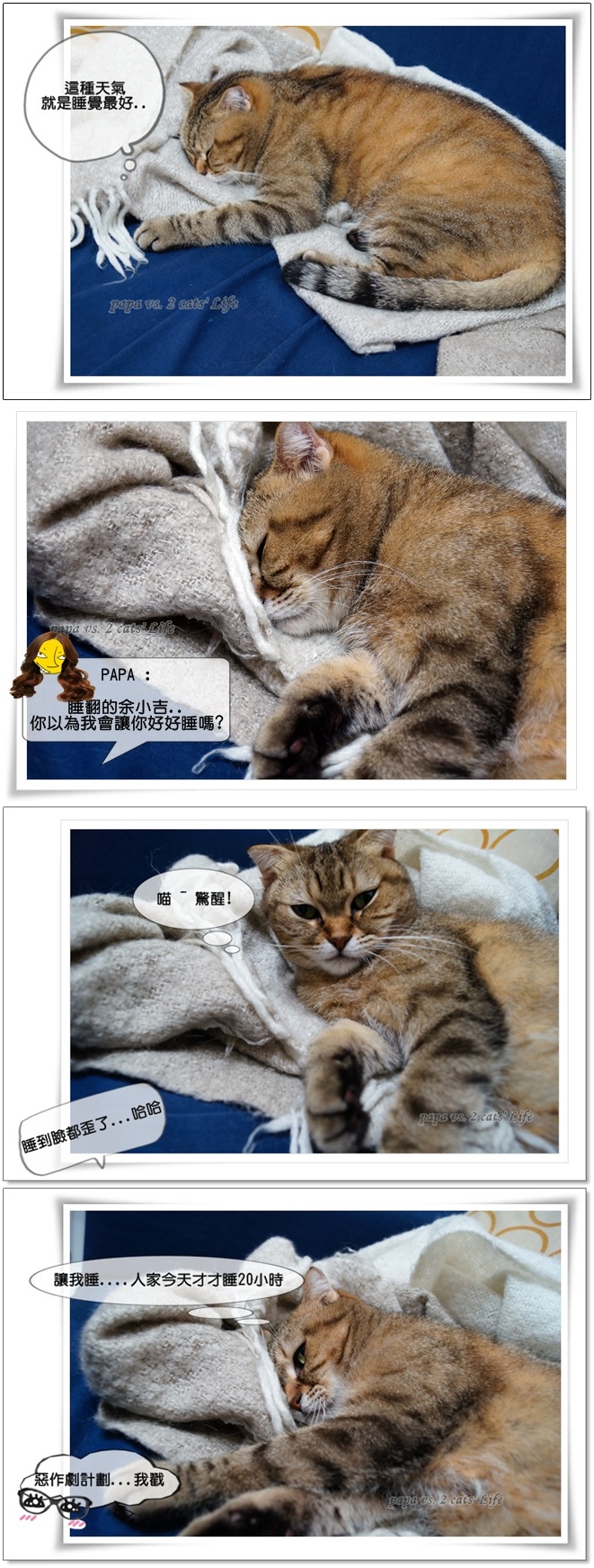 卡1