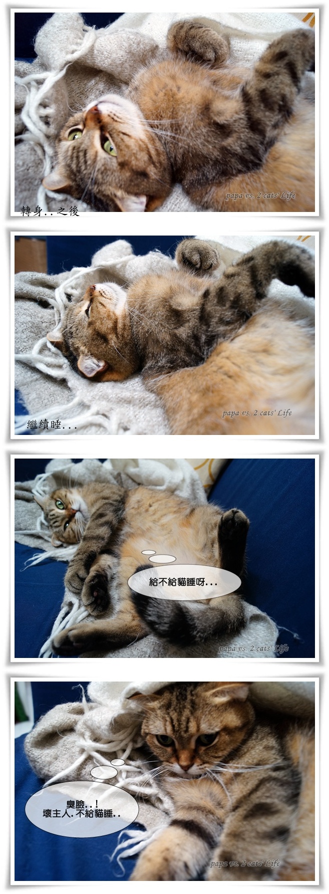 卡3
