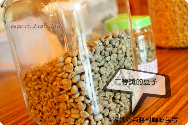南投國姓 百勝村
