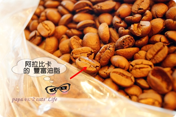 南投國姓 百勝村