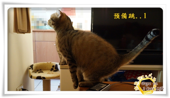 2013.2