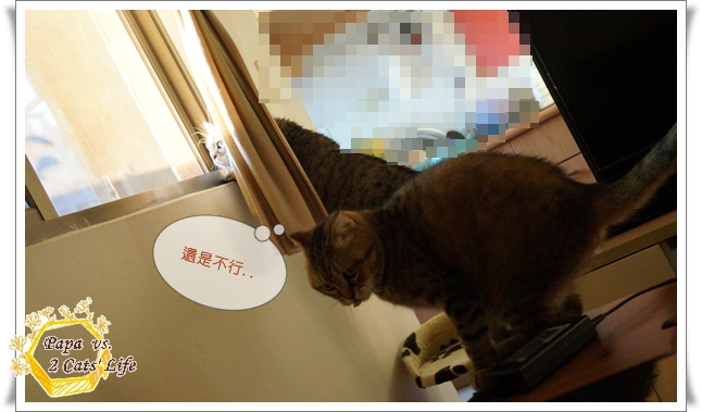2013.2