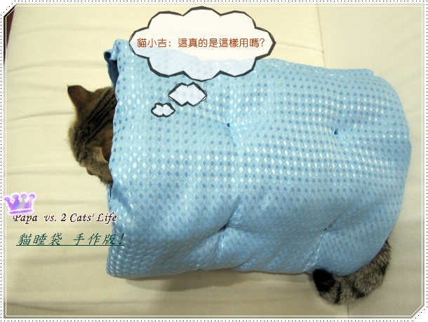 手做 貓睡袋?
