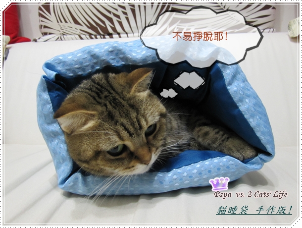 手做 貓睡袋?
