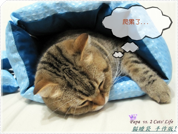 手做 貓睡袋?