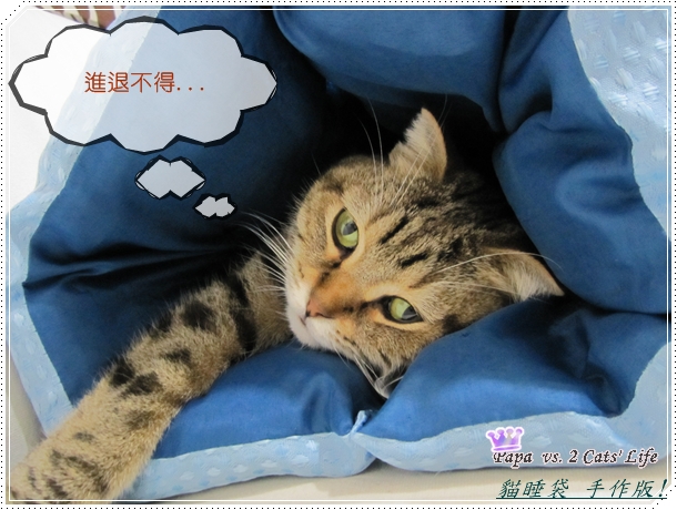 手做 貓睡袋?