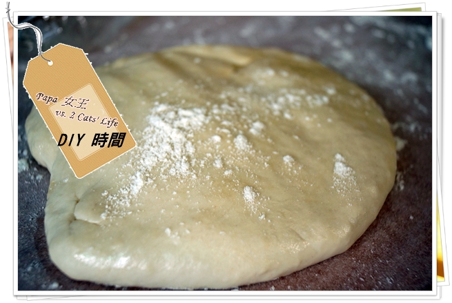 蔥油餅  自製篇