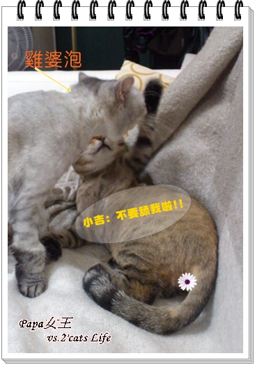 2013.05