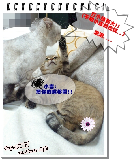 2013.05