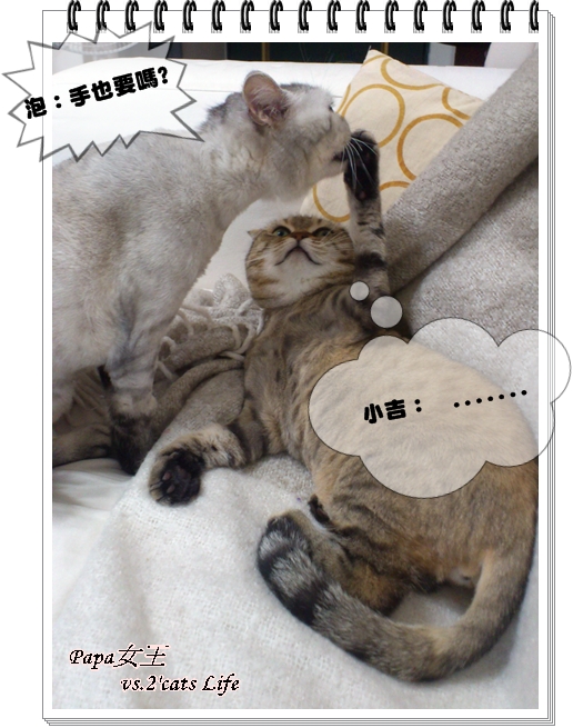 2013.05