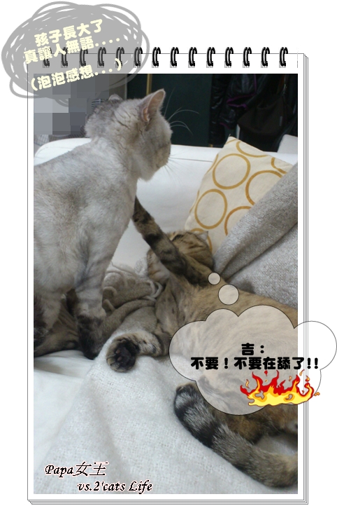 2013.05