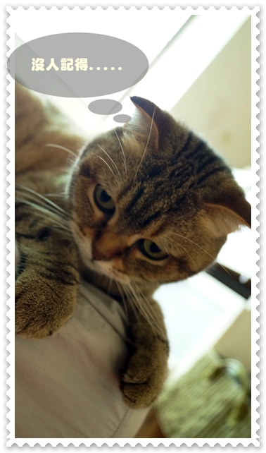 2013.05.05