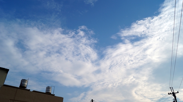 DSC05872