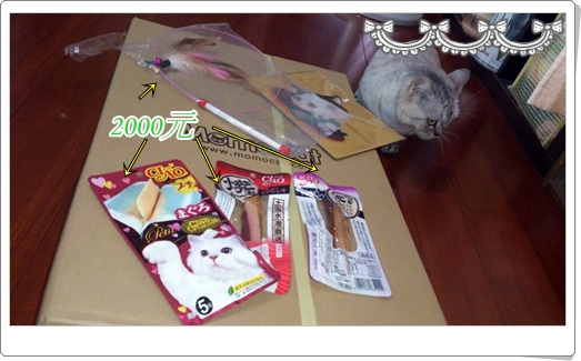 994265_704253602922116_416589724_n 994265_704253602922116_416589724_n