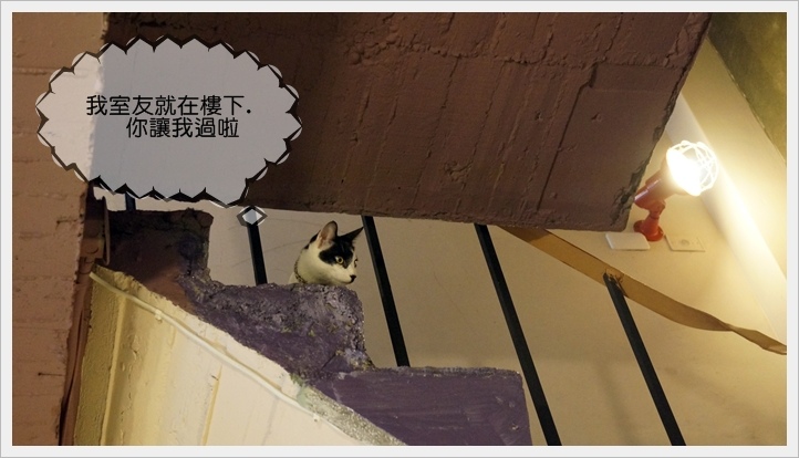 DSC08307.JPG