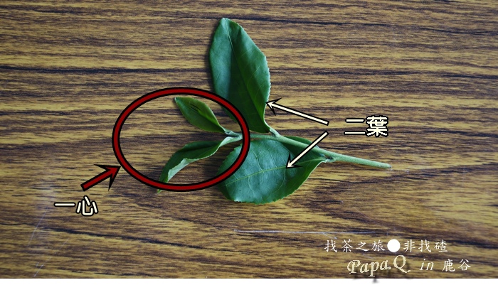DSC08735.JPG