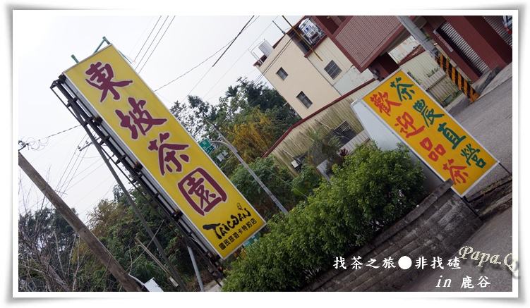 DSC08783.JPG