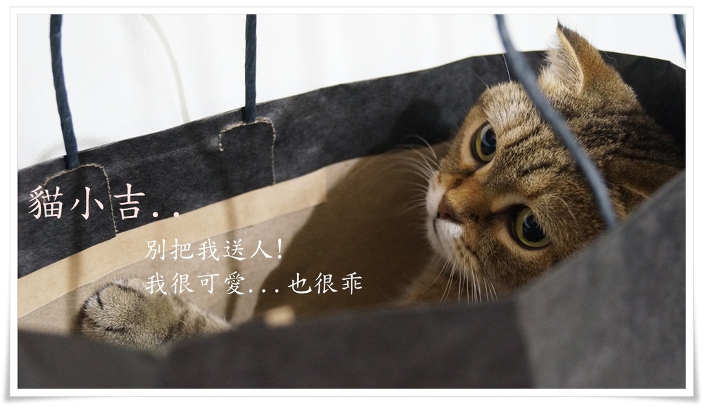 2013.10