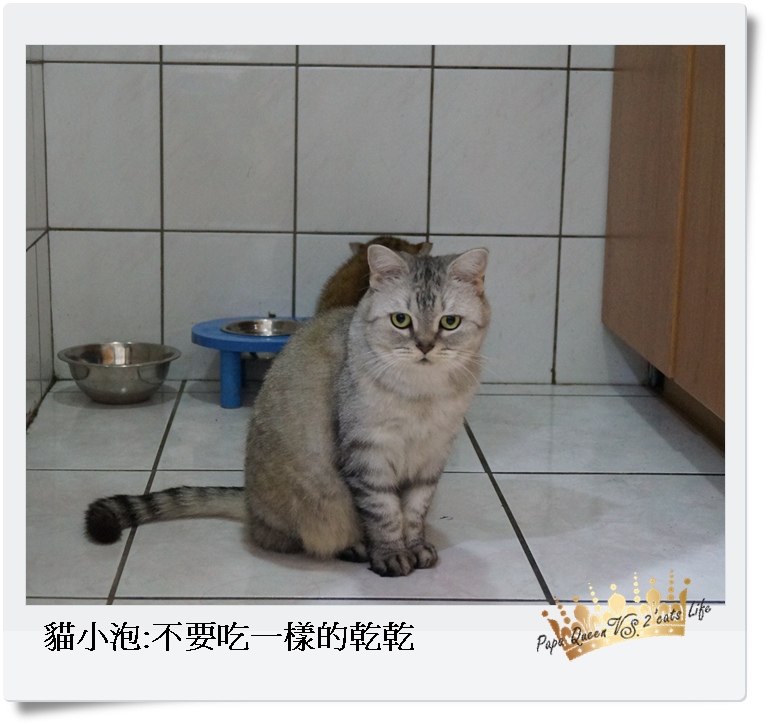 DSC09255