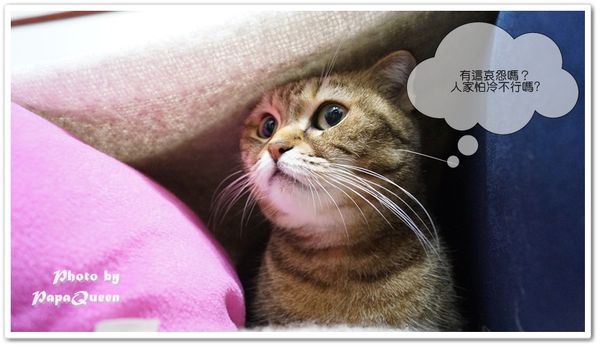 2013.12.20