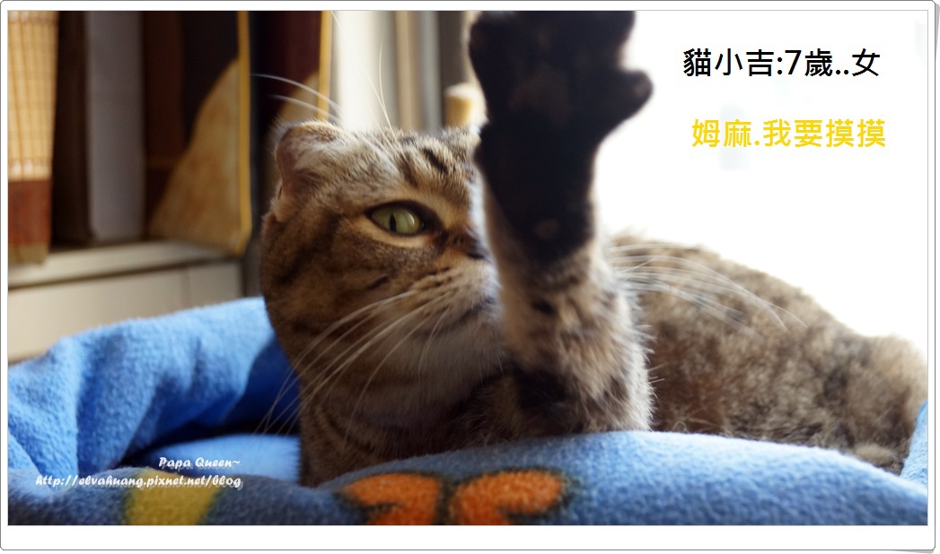 2014.1.7