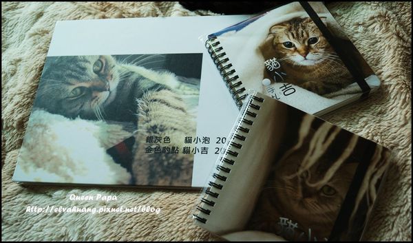 DSC00174.JPG e啪豆