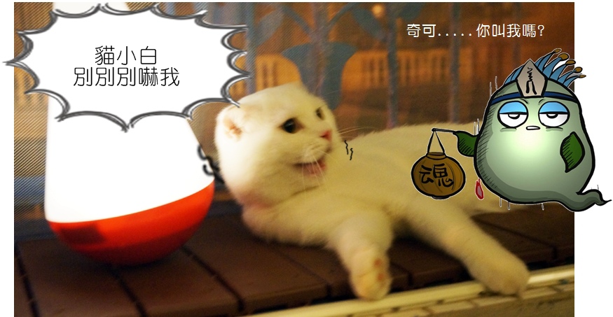 DSC05287.JPG