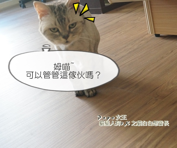 DSC05295.JPG