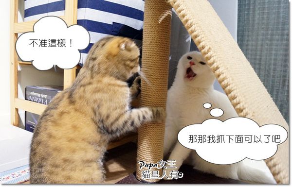 DSC07214.JPG