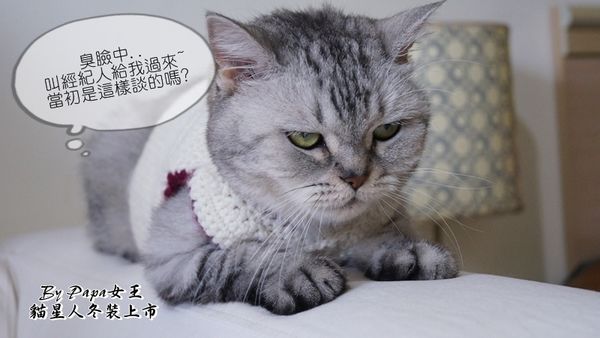DSC07728.JPG