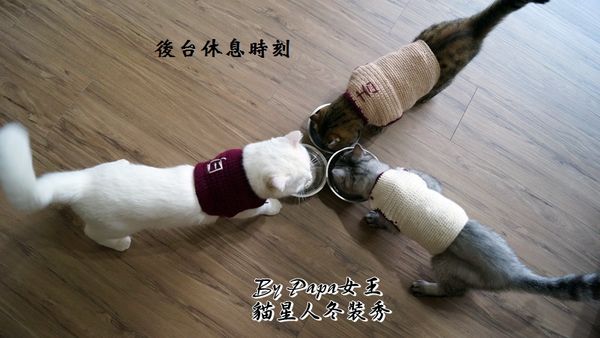 DSC07779.JPG