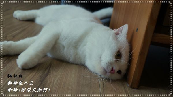 DSC07800.JPG