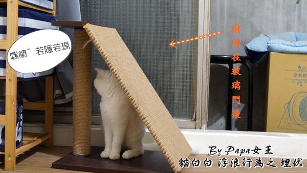 DSC07816.JPG
