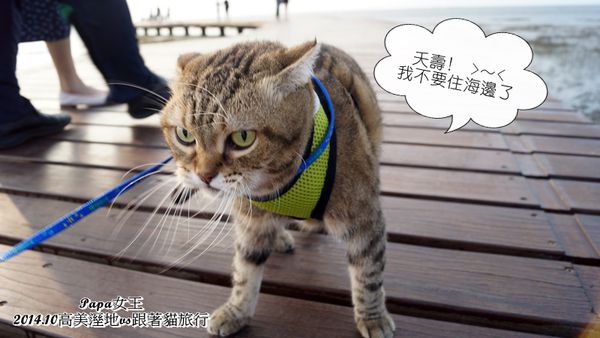 DSC08057.JPG