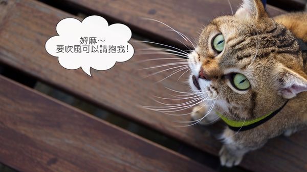 DSC08065.JPG