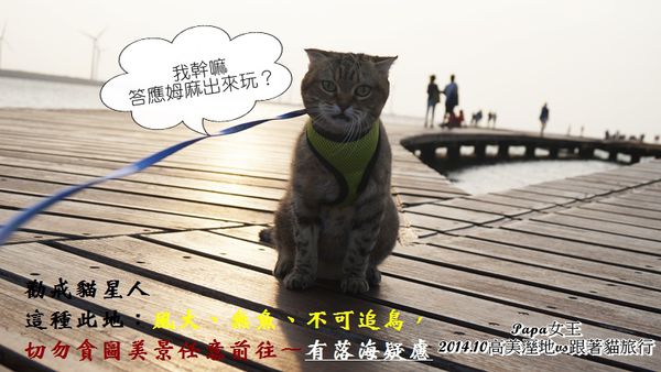 DSC08070.JPG