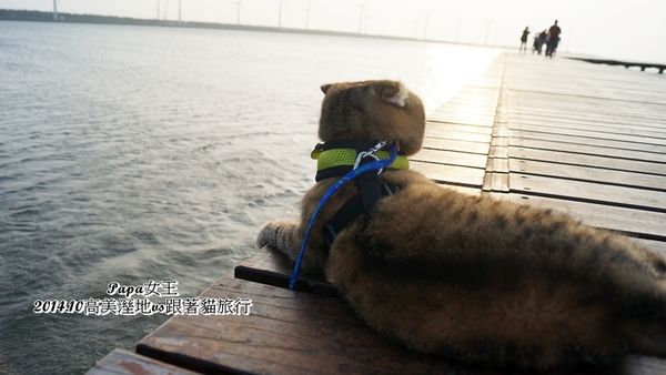 DSC08077.JPG