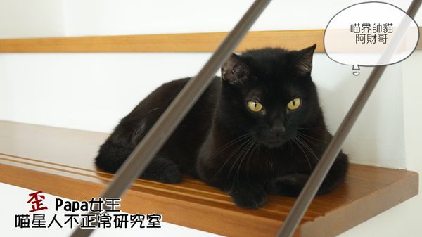 DSC08806.JPG