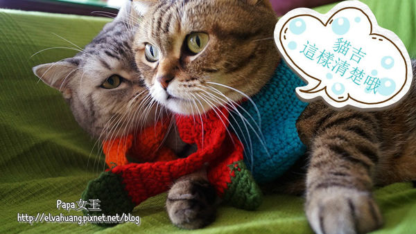 DSC01178_meitu_1.jpg 寵物穿搭文 冬季篇